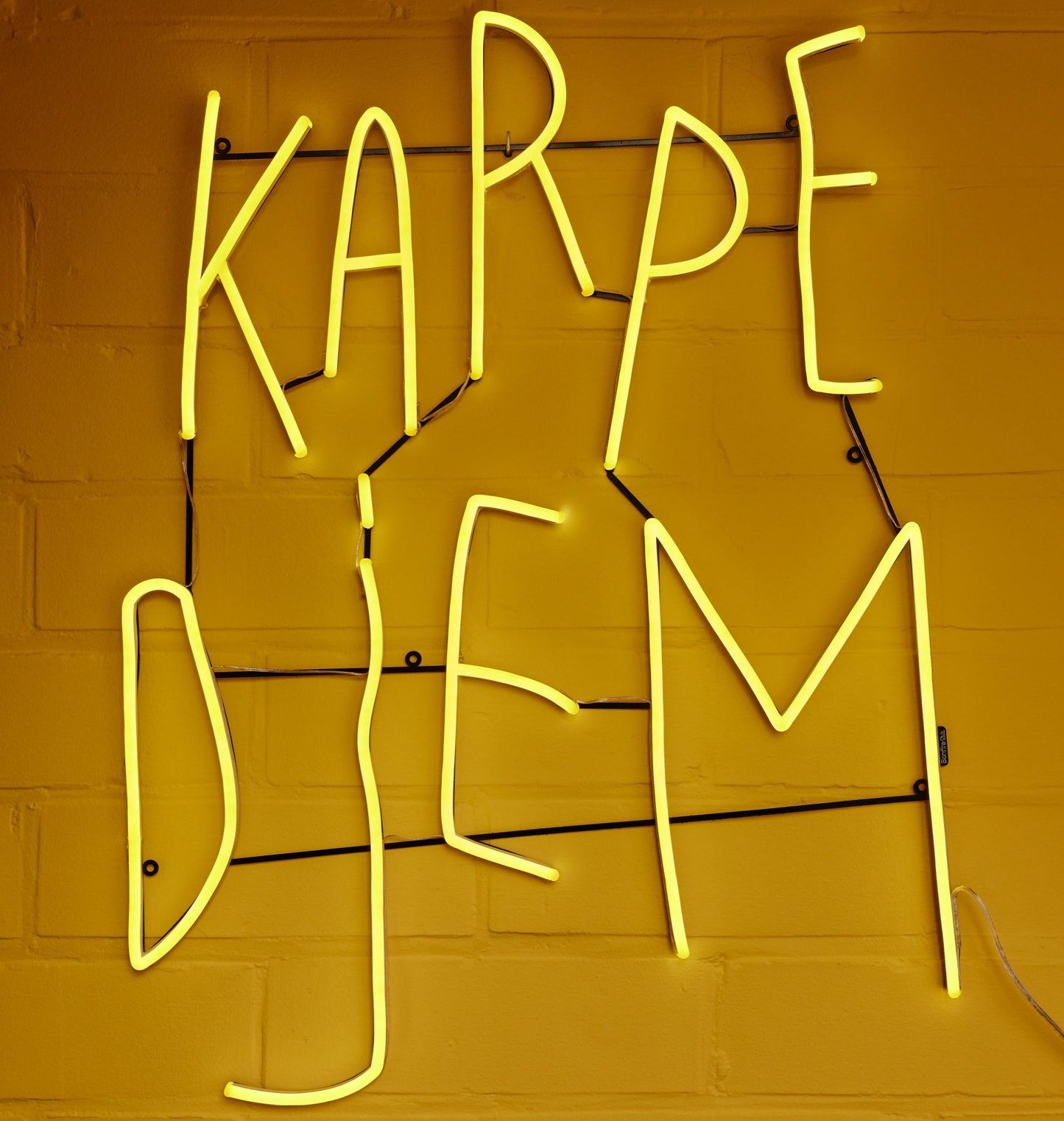 Karpe Djem par Kelly Hortense